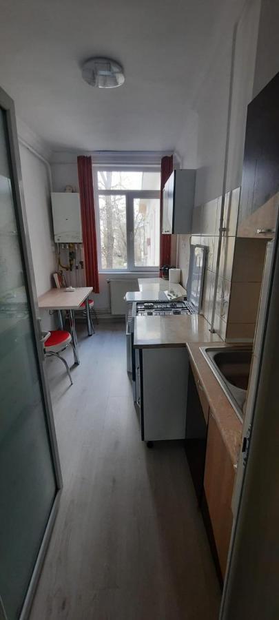 Apartament La Denis Birlad Exterior foto