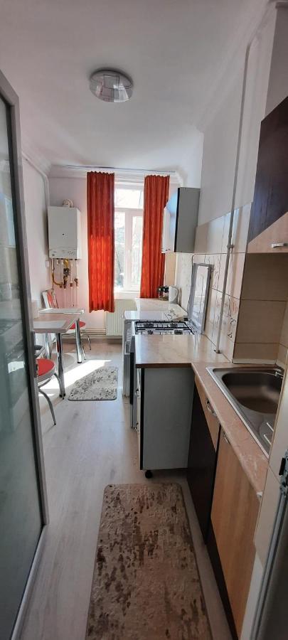 Apartament La Denis Birlad Exterior foto