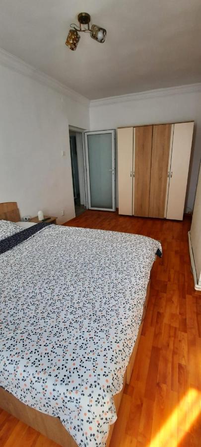 Apartament La Denis Birlad Exterior foto