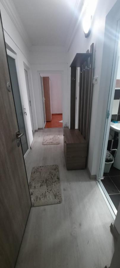 Apartament La Denis Birlad Exterior foto